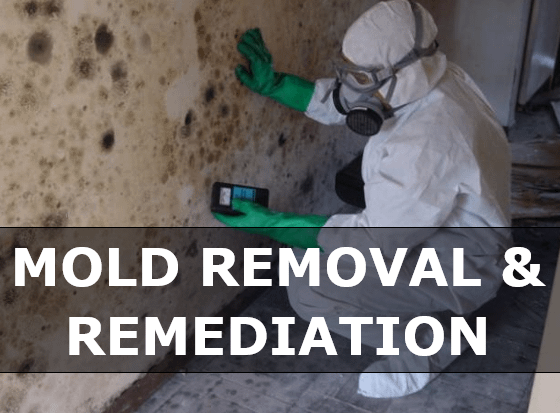Mold Remediation & Removal Virgin Islands