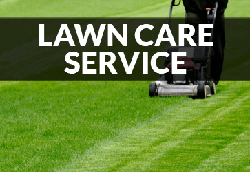 Virgin Islands Lawn Care Services