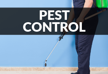 Virgin Islands Pest Control