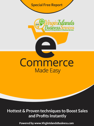 Ecommerce for Virgin Islands Business