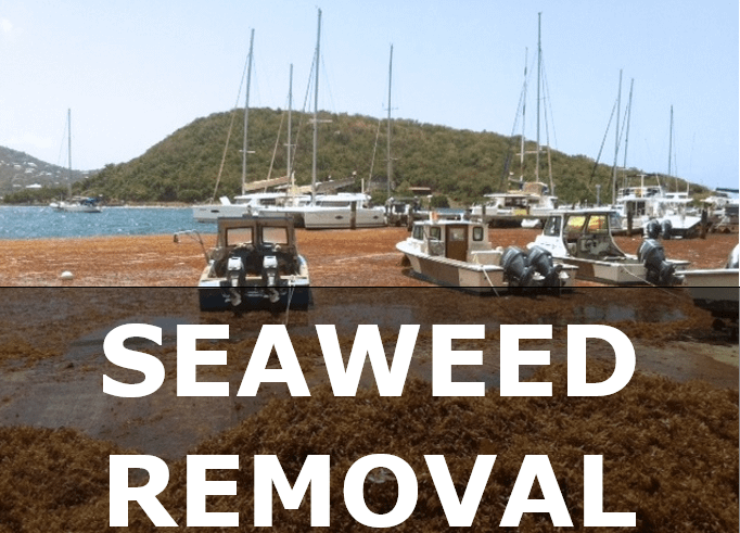 Virgin Islands Seaweed Removal